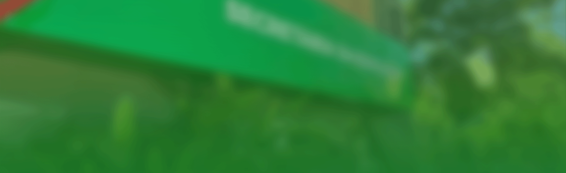 Ciclo de revisoes seducinterno